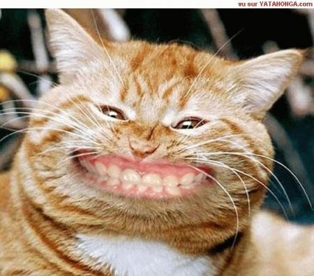 ChEeEeEeEzZzZzZz